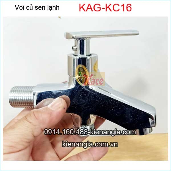 KAG-KC16-Voi-cu-sen-lanh-vuong-Kanis-KAG-KC16-2