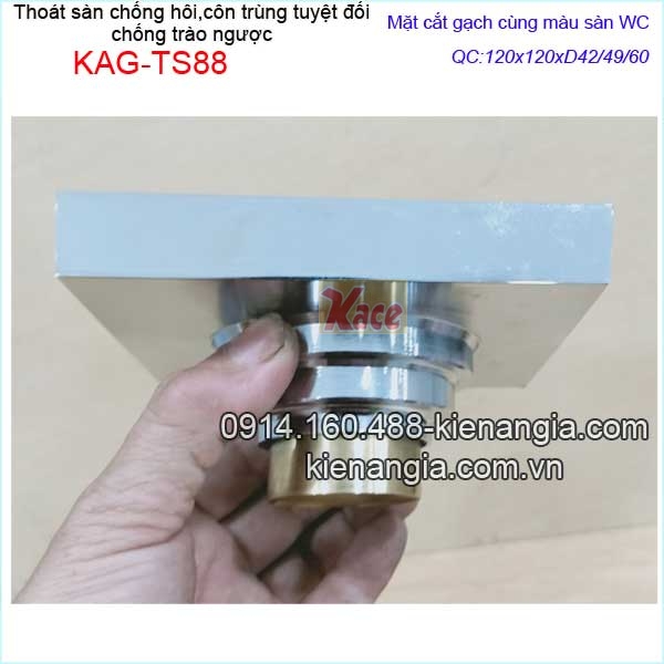 KAG-TS88-Pheu-Thoat-san-mat-gach-chong-con-trung-tuyet-doi-bong-120x120xD424960-KAG-TS88-8