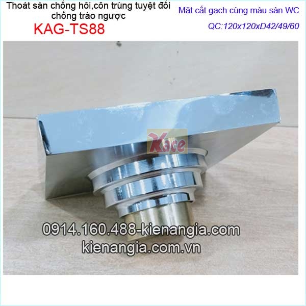 KAG-TS88-Pheu-Thoat-san-mat-gach-chong-con-trung-tuyet-doi-bong-120x120xD424960-KAG-TS88-12