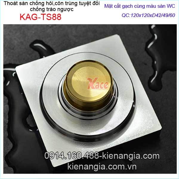 KAG-TS88-Pheu-Thoat-san-mat-gach-chong-con-trung-tuyet-doi-bong-120x120xD424960-KAG-TS88-13