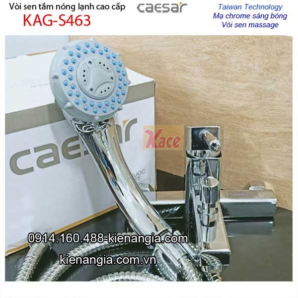 KAG-S463C-Voi-sen-tam-vuong-biet-thu-Taiwan-Caesar-KAG-S463C-2