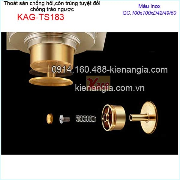 KAG-TS183-Pheu-Thoat-san-chong-hoi-con-trung-tuyet-doi-mau-inox-100x100xD424960-KAG-TS183-7
