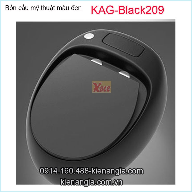 Bồn cầu mỹ thuật màu đen KAG-Black209