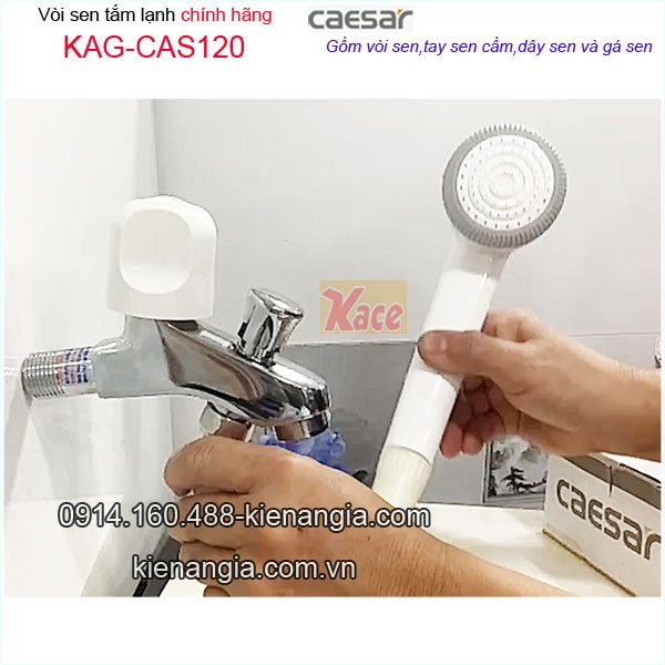 KAG-CAS120-Cu-sen-lanh-Caesar-chinh-hang-KAG-CAS120-21