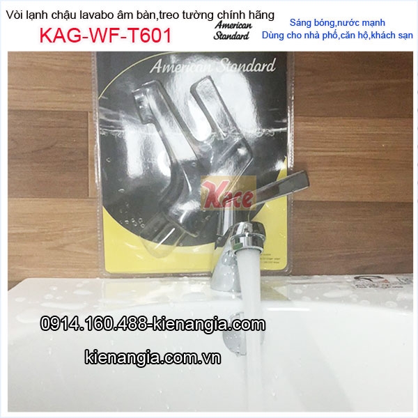 KAG-WF-T601-Voi-lanh-chau-lavabo-am-ban-American-Standrad-chinh-hang-KAG-WF-T601-20