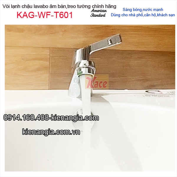 KAG-WF-T601-Voi-lanh-chau-lavabo-am-ban-American-Standrad-nha-pho-KAG-WF-T601-27