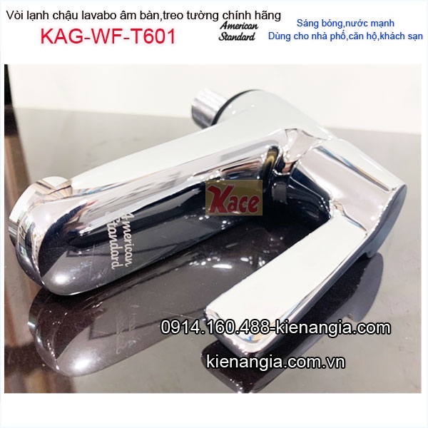 KAG-WF-T601-Voi-lanh-lavabo-treo-tuong-American-Standrad-chinh-hang-KAG-WF-T601-29