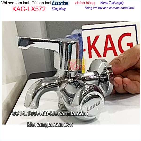 KAG-LX572-Sen-tam-lanh-Luxta-Korea-van-phong-KAG-LX572-36