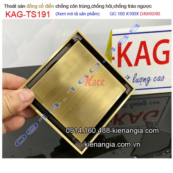 KAG-TS191-thoat-san-100x100-vang-dong-gia-co-chong-con-trung-10x10xD42496090-KAG-TS191-8