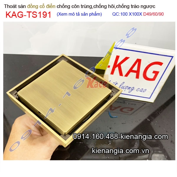 KAG-TS191-Ho-ga-dong-co-dien-chong-con-trung-10x10xD42496090-KAG-TS191-4