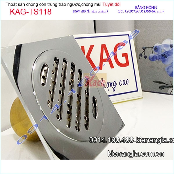 KAG-TS118-Pheu-thu-san-12x12-chong-trao-nguoc-chong-hoi-con-trung-KAG-TS118-24