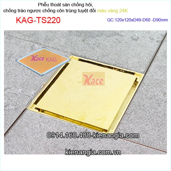 Thoát sàn màu vàng 24K  chống hôi ,chống côn trùng tuyệt đối 12x12xD60 KAG-TS220