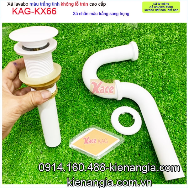 KAG-KX66-xa-chau-lavabo-MAU-trang-KAG-KX66-3