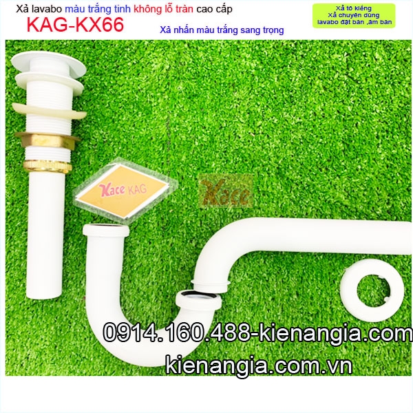 KAG-KX66-xa-lavabo-kieng-MAU-trang-KAG-KX66-6