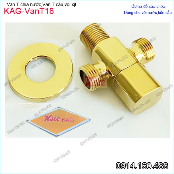 KAG-VanT18-Van-T-Cau-Van-chia-nuoc-voi-xit-ve-sinh-INOX-304-vang-KAG-VanT18
