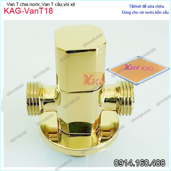 KAG-VanT18-Van-T-Cau-Van-chia-nuoc-voi-xit-ve-sinh-INOX-304-vang-KAG-VanT18-2