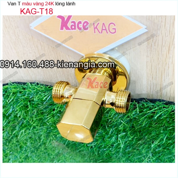 KAG-T18-Van-T-chia-nuoc-vang-long-lanh-KAG-T18-25