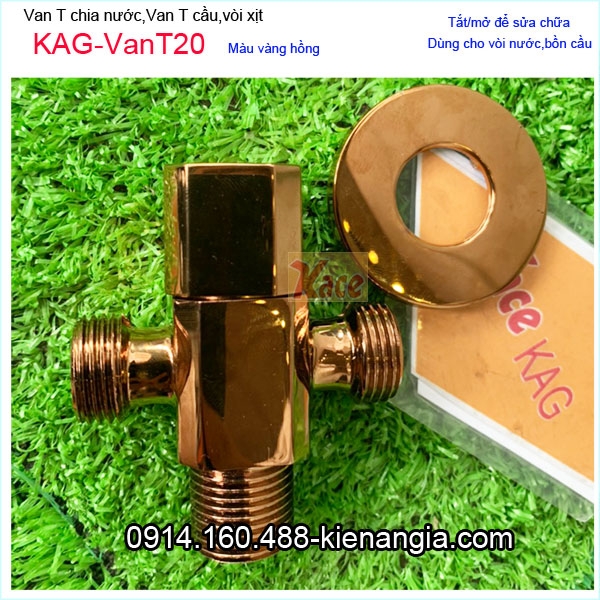 KAG-VanT20-Van-T-Cau-Van-chia-nuoc-voi-xit-ve-sinh-INOX-304-vang-hong-KAG-VanT20-22