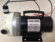 Bơm áp lực Lotus Pumps MT-6015