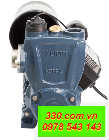máy bơm nước đa năng hyundai HD800A,01