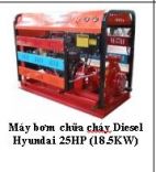 Máy bơm chữa cháy Diesel Hyundai 25HP (18.5KW)