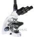 Euromex-BB-4243-microscope-trinocular