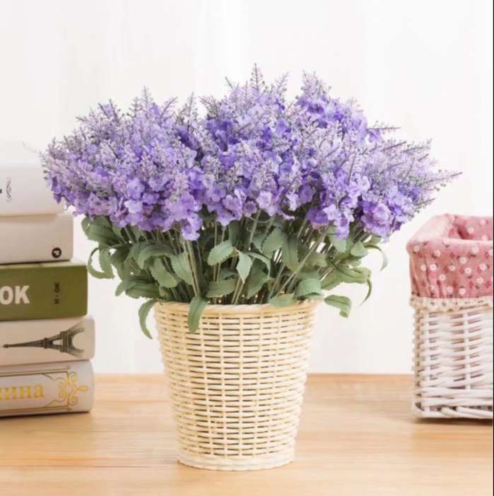 set-5-canh-hoa-lavender (1)