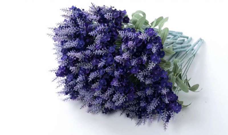 set-5-canh-hoa-lavender (3)