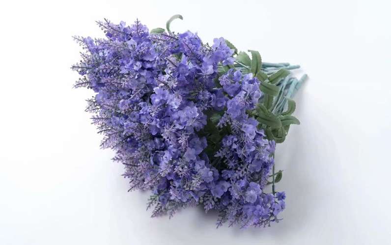 set-5-canh-hoa-lavender (6)