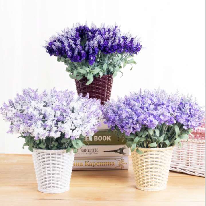 set-5-canh-hoa-lavender (7)