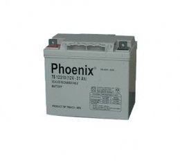 Ắc quy Phoenix 12V-31AH (TS12310)