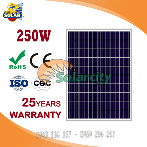 Tấm Pin Năng Lượng Mặt Trời Poly Solarcity 250W