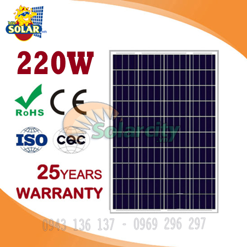 Tấm pin năng lượng mặt trời poly solarcity 220w