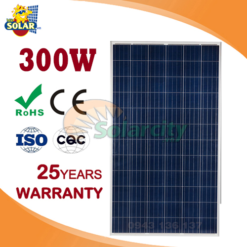Tấm Pin Năng Lượng Mặt Trời Poly Solarcity 300W