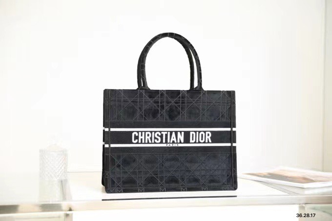 Túi xách nữ Dior Siêu Cấp RLCDO1536