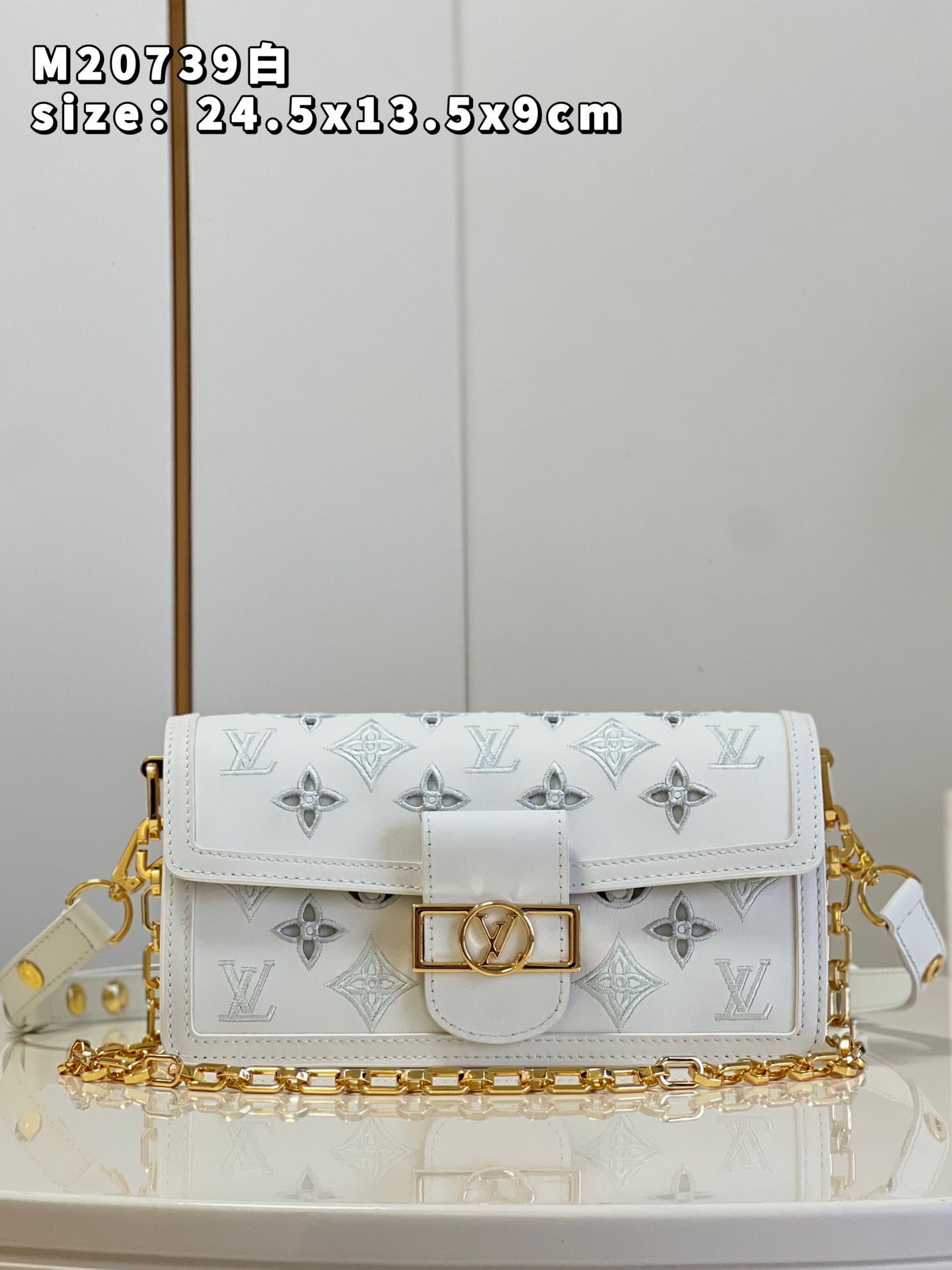 Túi xách nữ Louis Vuitton Siêu Cấp RLCLV2539