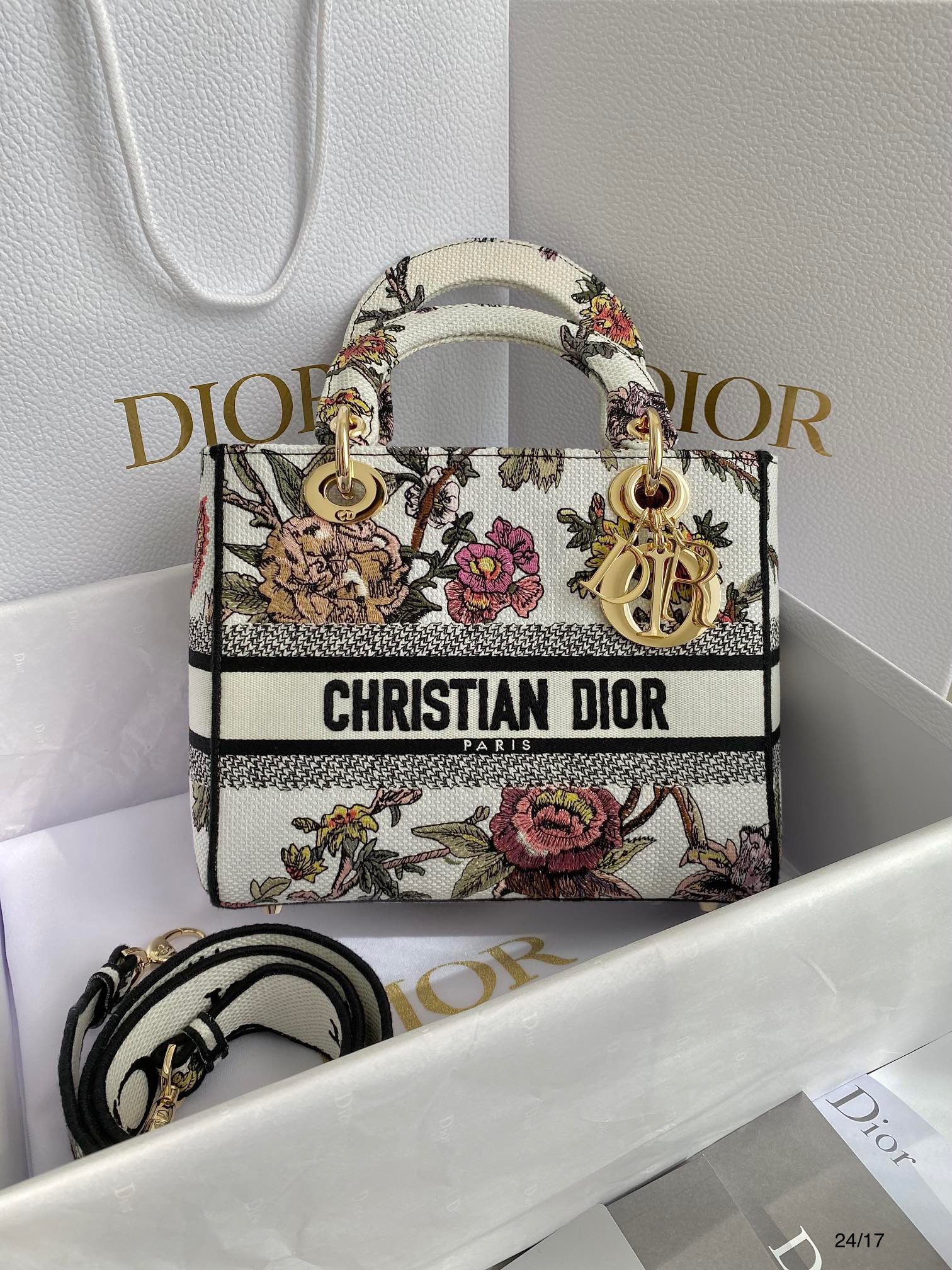 Túi xách nữ Dior Siêu Cấp RLCDO2584