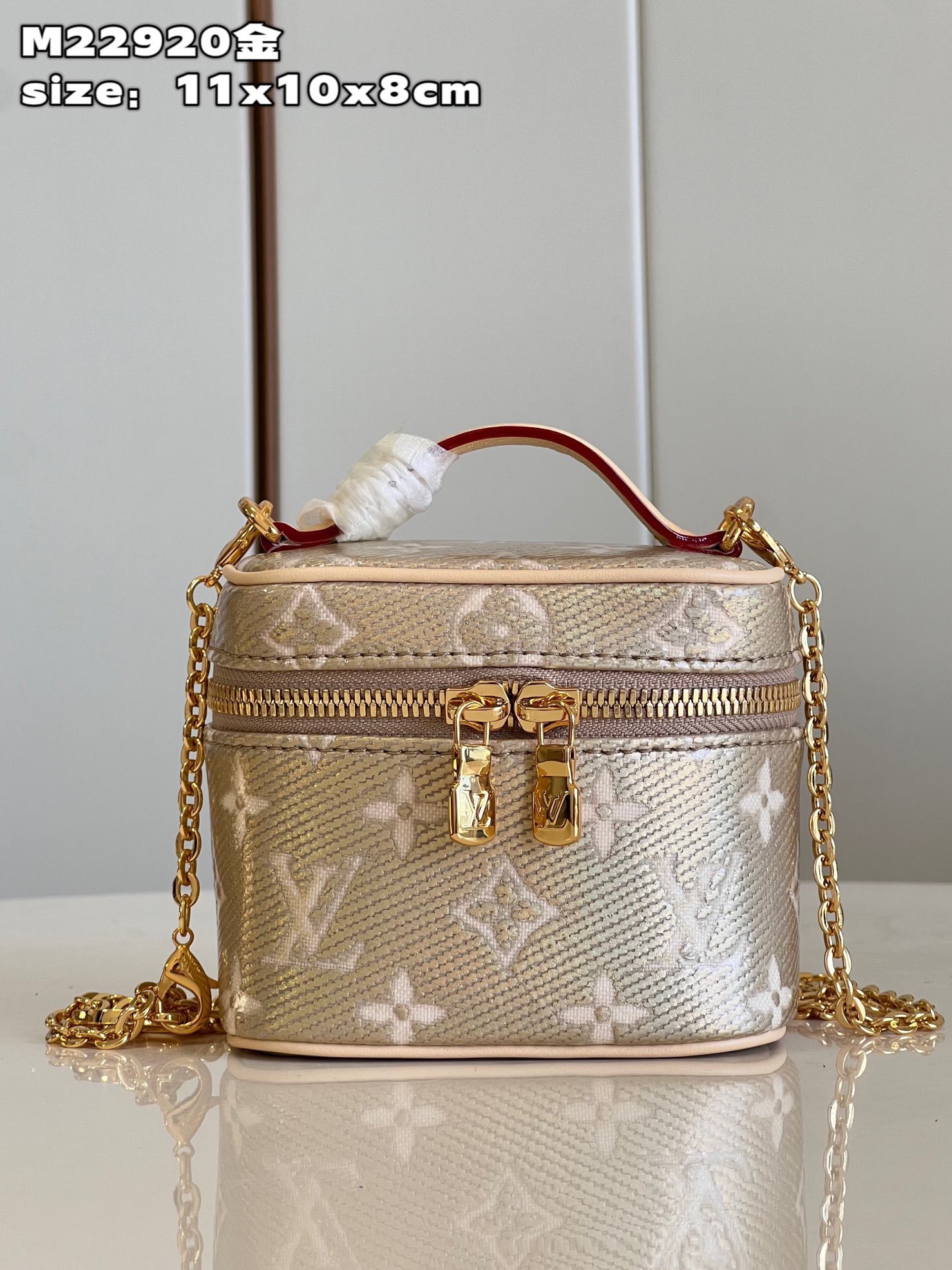 Túi xách nữ Louis Vuitton Siêu Cấp RLCLV2701