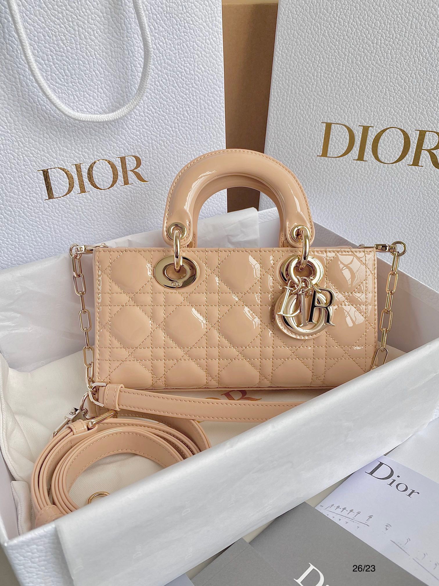 Túi xách Dior Siêu Cấp RLCDO2770
