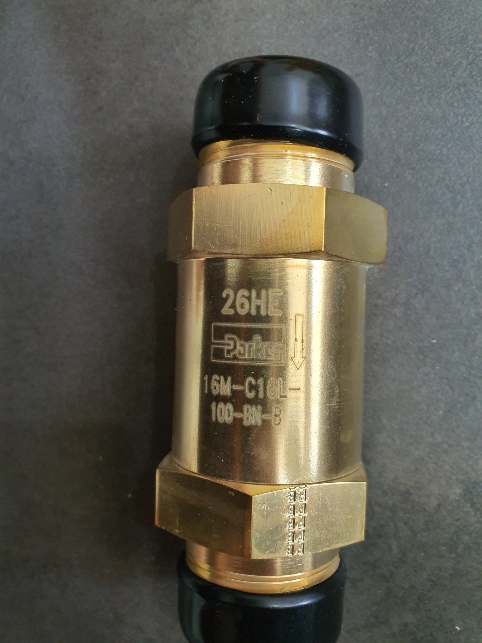 Check valve 16M-C16L-100-BN-B