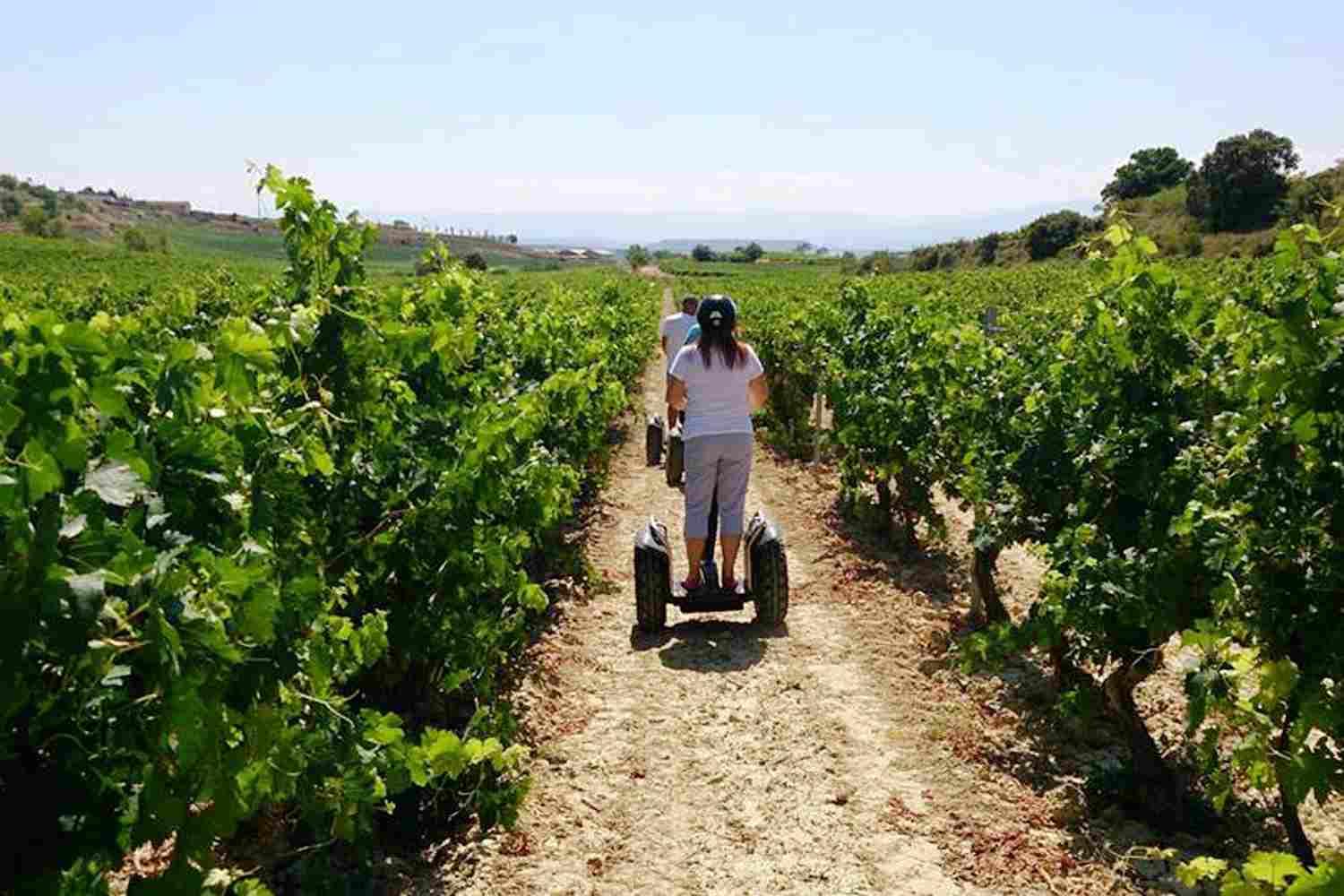 Khách du lịch tham quan tại vườn nho tại Rioja, Tây Ban Nha