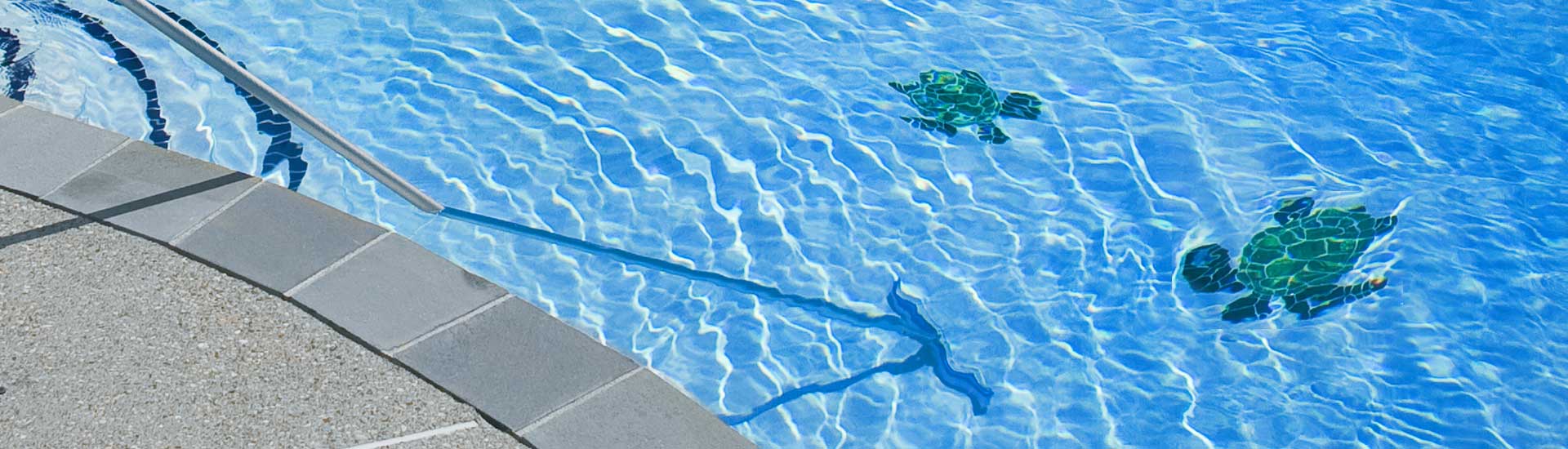 elata-swimming-pool-service-pool-maintenance