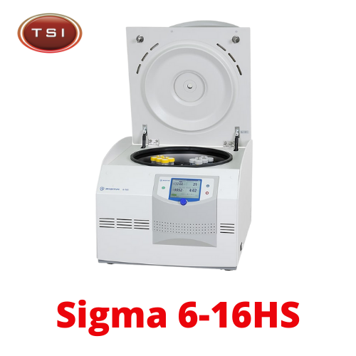 Sigma 6-16HS