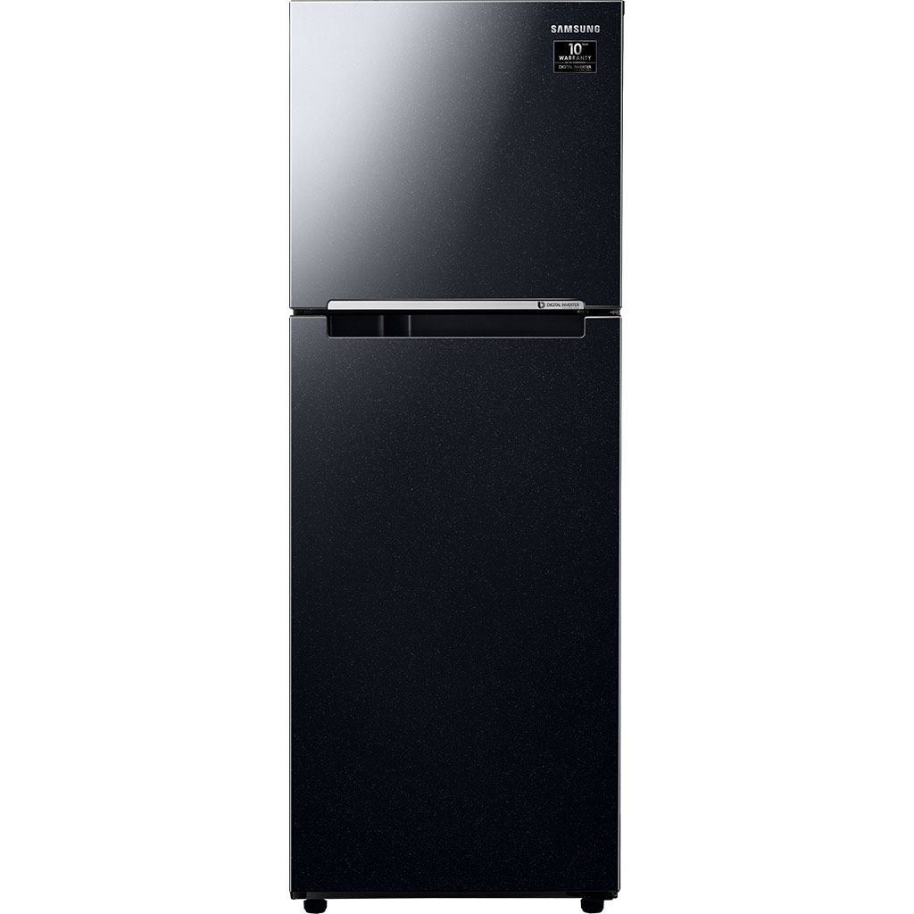 Tủ lạnh Samsung Inverter 236 lít RT22M4032BU/SV