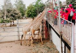 Chuyến tham quan dã ngoại vườn thú Diễn Lâm của khối MG 5-6 tuổi (22/03/2018)