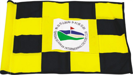 Lá cờ caro in logo GJ 04