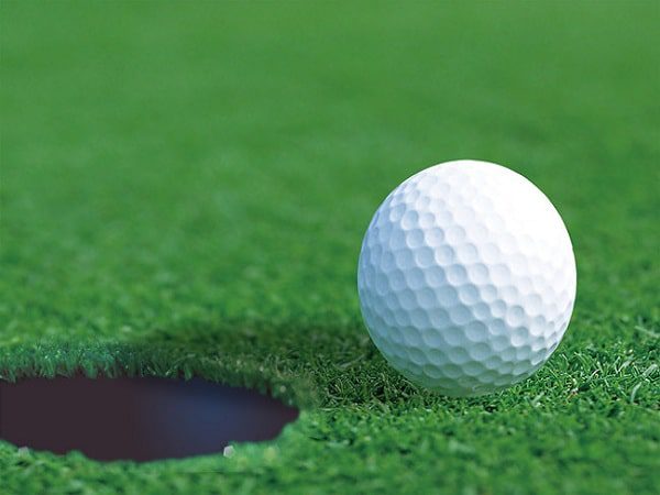 Bóng golf in logo (5)