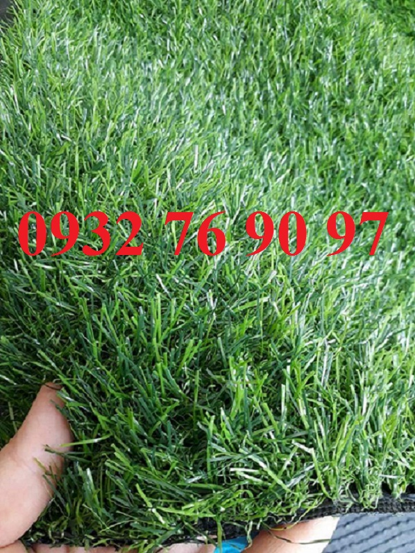 Nơi bán Thảm cỏ nhân tạo giá rẻ tại tphcm