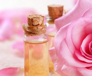 Cách làm tinh dầu hoa hồng - Beauty Star