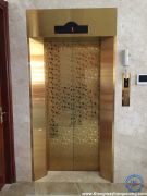 Các mẫu cửa tầng thang máy đẹp